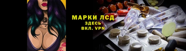 крисы Бородино