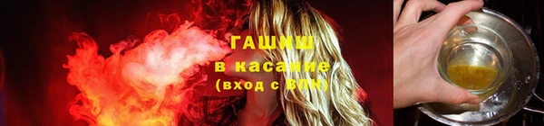 крисы Бородино