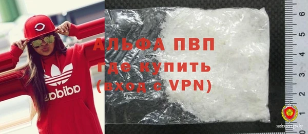 крисы Бородино